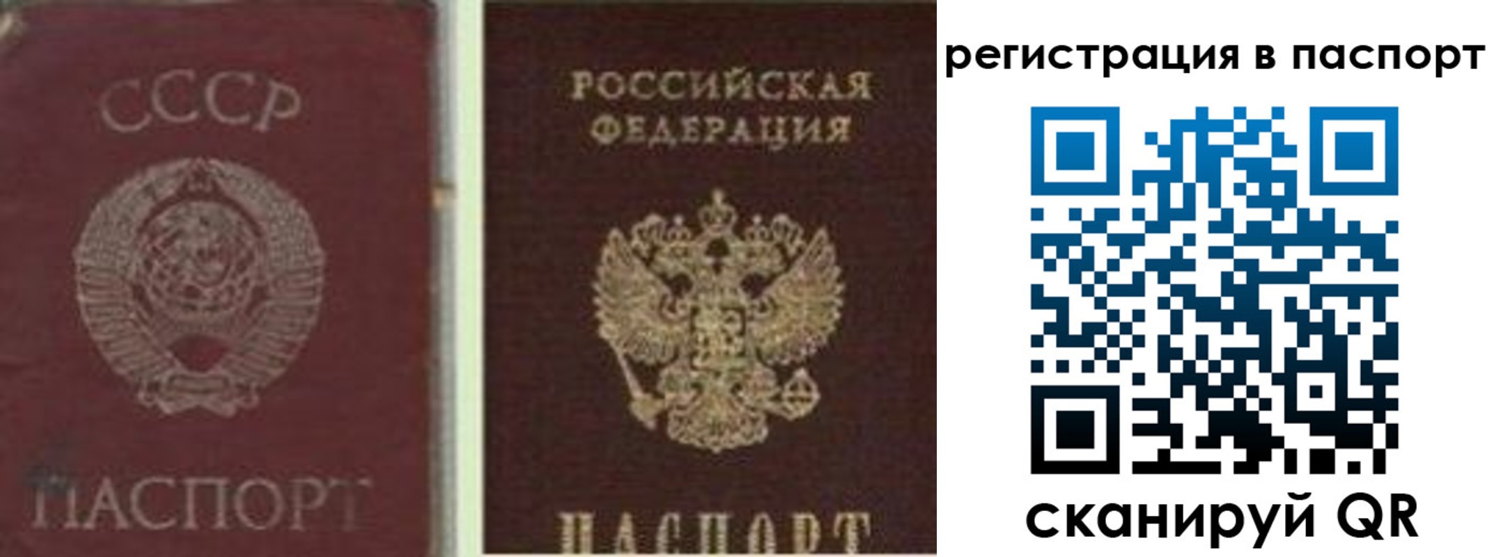 прописка для работы в Далматово